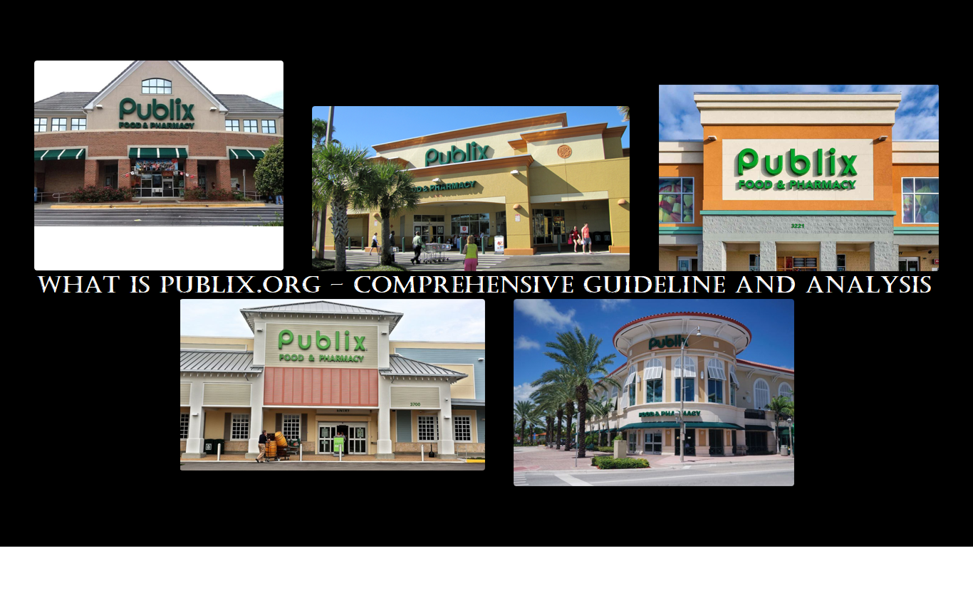 What is Publix.org – Comprehensive Guideline and Analysis
