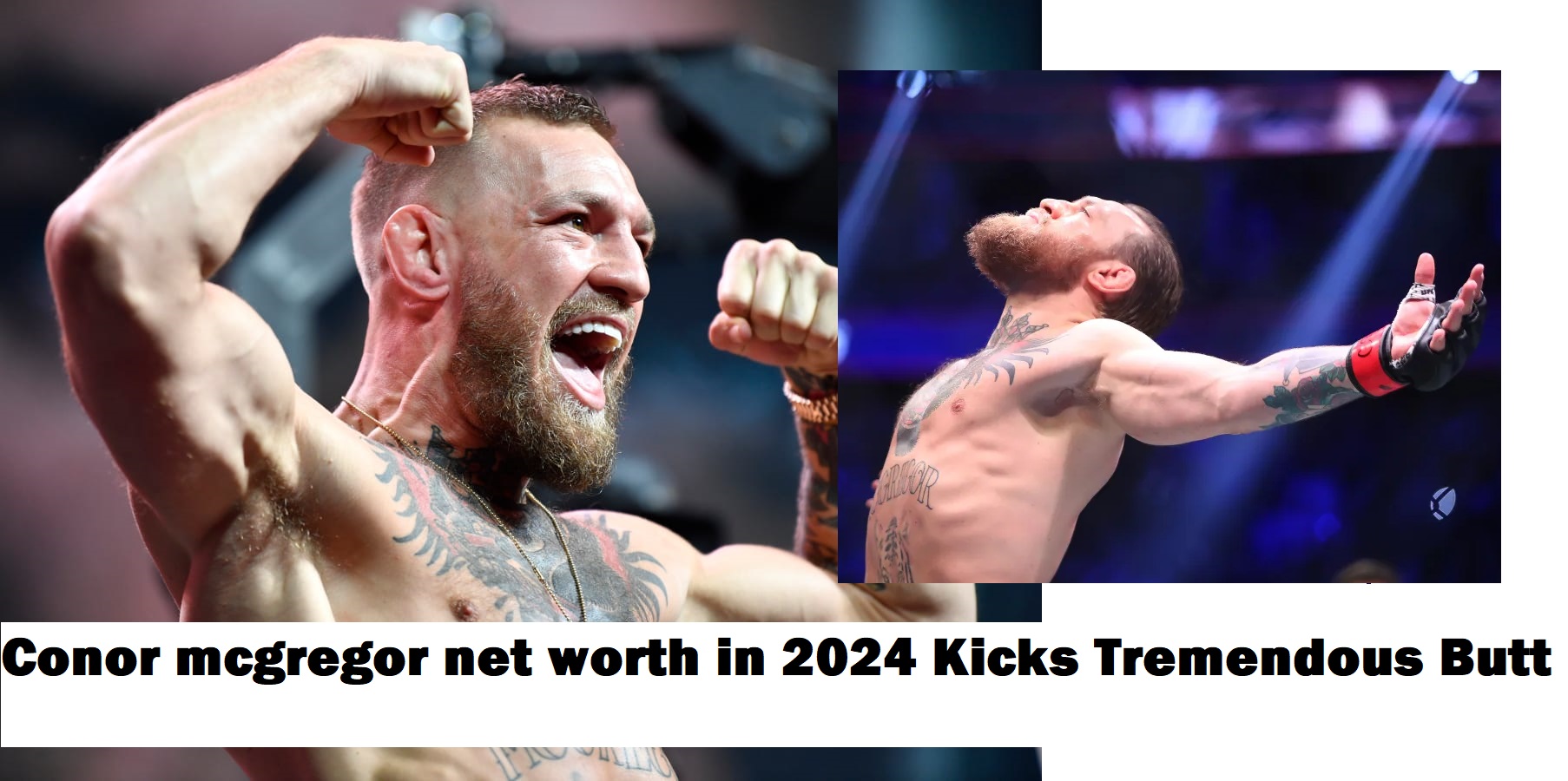 Conor mcgregor net worth in 2024 Kicks Tremendous Butt